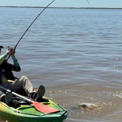 En Itá Ibaté, Corrientes, los kayaks fueron las embarcaciones elegidas para capturar al surubí en una innovadora modalidad.