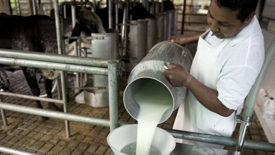 Crisis y medidas de fuerza en la industria láctea