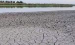 Mortandad de peces y contaminación en la laguna de Lobos