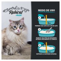 ¿Cómo enseñar los gatitos a usar la bandeja de arena?