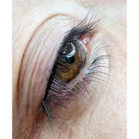 Fer Cejas Microblading & Micropigmentación en Córdoba