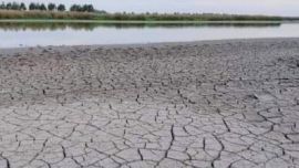 Al drama de la sequía de su laguna, la localidad de Lobos suma ahora el de la contaminación del agua.