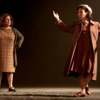 Piaf: "Cuando el teatro se convierte en arte"