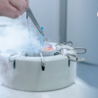 PRESERVARTE: CUIDADO Y PRESERVACIÓN DE LA FERTILIDAD Y EXPECT MORE PARA CALCULAR LAS PROBABILIDADES DE EMBARAZO