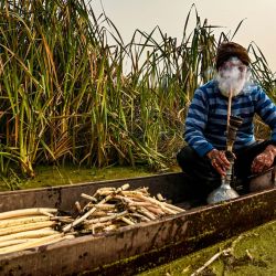 Un agricultor de Cachemira fuma mientras otros se sumergen en aguas frías desafiando temperaturas bajo cero para extraer tallos de loto, conocidos localmente como Nadur, en el lago Anchar en Srinagar, India. | Foto:TAUSEEF MUSTAFA / AFP