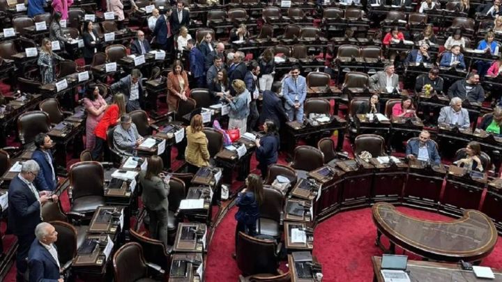 Escándalo en la cámara de diputados