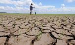 Alerta: por la sequía, piden que el gobierno nacional declare en emergencia a 13 municipios bonaerenses