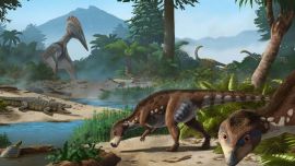 Ilustración del dinosaurio enano encontrado.