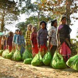 Trabajadores de una plantación de té hacen cola para pesar y depositar en una fábrica las hojas de té arrancadas durante el día, en una plantación de té en Rangapara, en el distrito de Sonitpur de Assam, India. | Foto:BIJU BORO / AFP