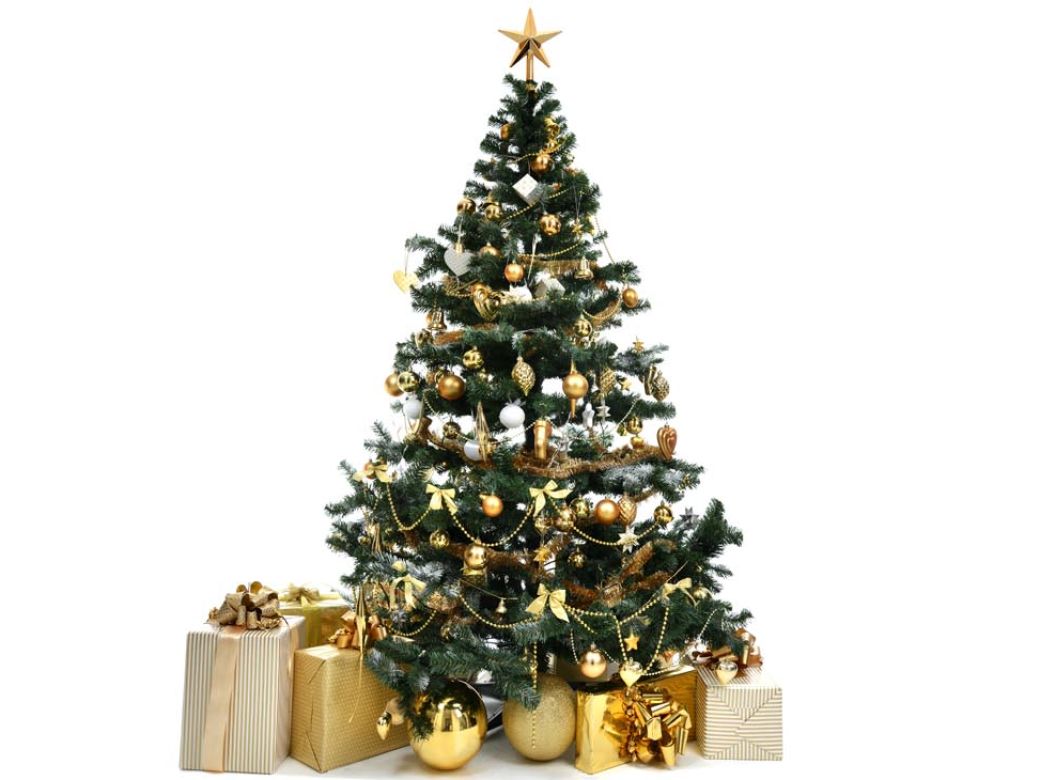 La historia detrás del árbol de Navidad: ¿cómo nació su tradición