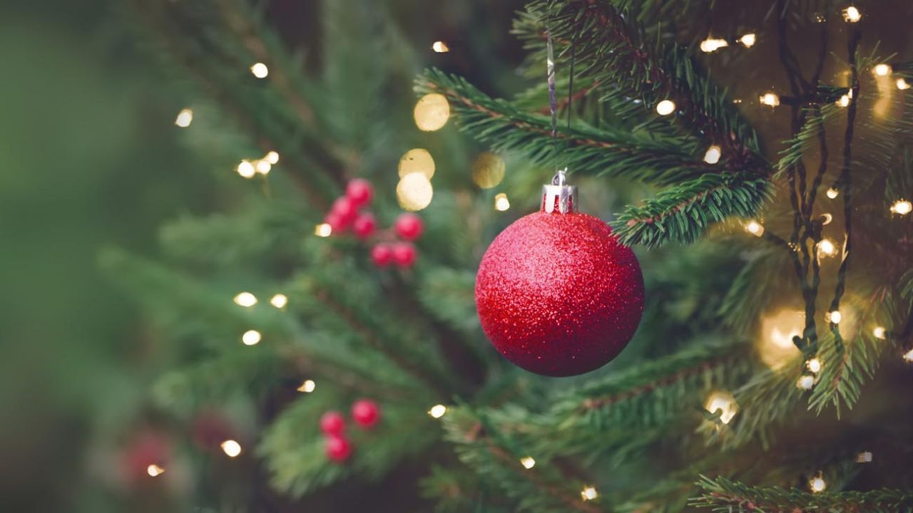 Árboles de Navidad 2023: ¿cuáles son las tendencias para este diciembre? -  Gente - Cultura 