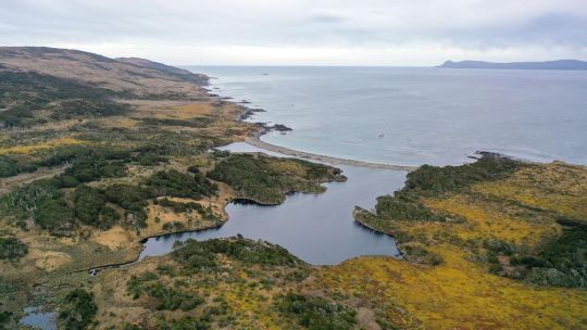 Humedales: Tierra del Fuego sumó a Península Mitre como nueva área protegida