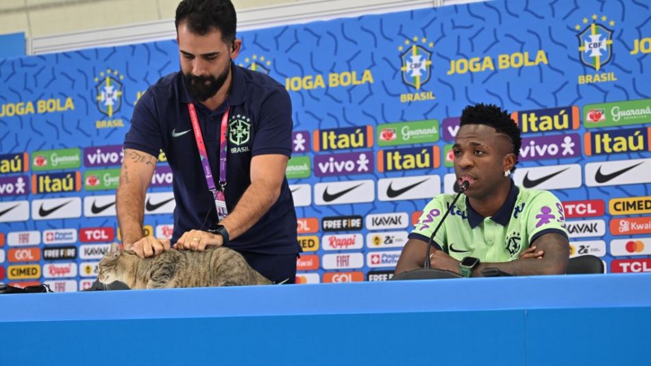 Vinicius 20221207