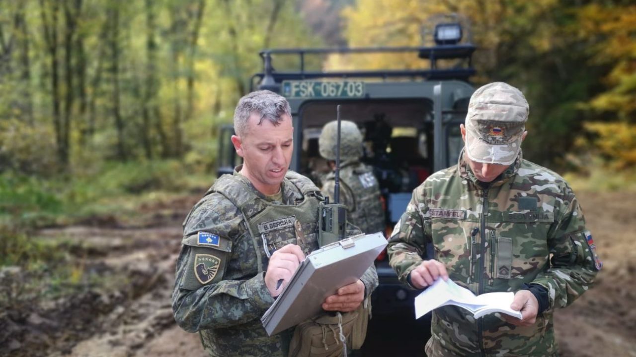 Tropas de Kosovo en Malvinas: delegaciones del Consejo de Seguridad  apoyaron la protesta argentina | Perfil