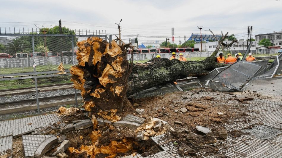 20220812 Líneas de trenes interrumpidas por la caída de un árbol.