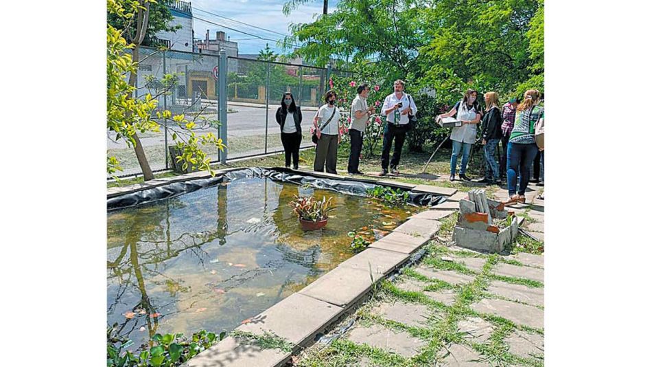 2022_12_11_estanque_peces_gzafauba_g