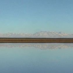 No es la primera vez que la sequía aqueja a este importante espejo de agua del sur mendocino.