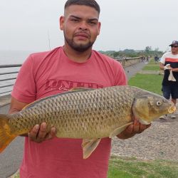 En “El Parque de los Niños” de Vicente López, Buenos Aires, los sábalos dijeron presente de una manera espectacular. Con equipo liviano la pelea se vuelve más emocionante.