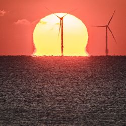 La fotografía muestra la puesta de sol sobre un parque eólico marino, frente a la costa de la ciudad occidental francesa de Saint-Nazaire. - Diputados franceses examinan un proyecto de ley para acelerar el despliegue de las energías renovables en la Asamblea Nacional francesa. | Foto:LOIC VENANCE / AFP