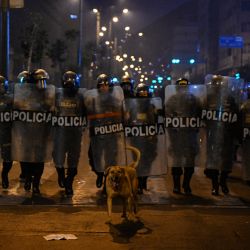 Miembros de la policía antidisturbios son vistos durante una manifestación realizada por partidarios del ex presidente Pedro Castillo para exigir su liberación y el cierre del Congreso peruano en Lima. | Foto:ERNESTO BENAVIDES / AFP