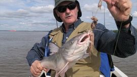 12_13BagreParanaGuazuBravo