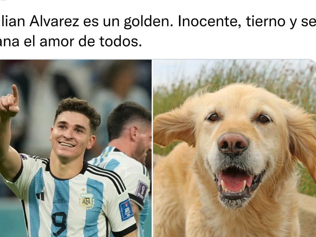 depresión perro meme