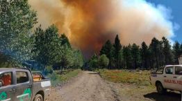 Tierra del Fuego: continúan los incendios forestales y ya se consumieron 12 mil hectáreas