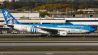 Aerolíneas Argentinas plane, World Cup