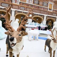 Charlene de Mónaco celebra una navidad mágica en el Palacio Grimaldi