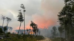 Incendios en Tierra del Fuego 20221215