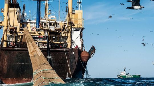 Ambientalistas y empresarios exigen la aprobación de una ley contra la pesca ilegal