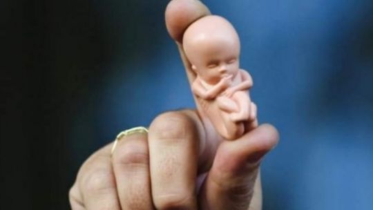 Una senadora de la UCR presentó un proyecto para que los fetos sin vida tengan un "trato digno"
