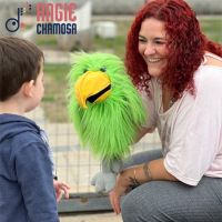 ANGIE CHAMOSA, Educadora Musical