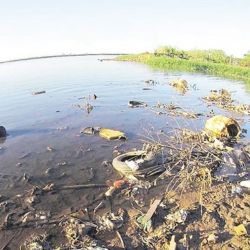 La contaminación en aves y peces en el Paraná es alarmante.