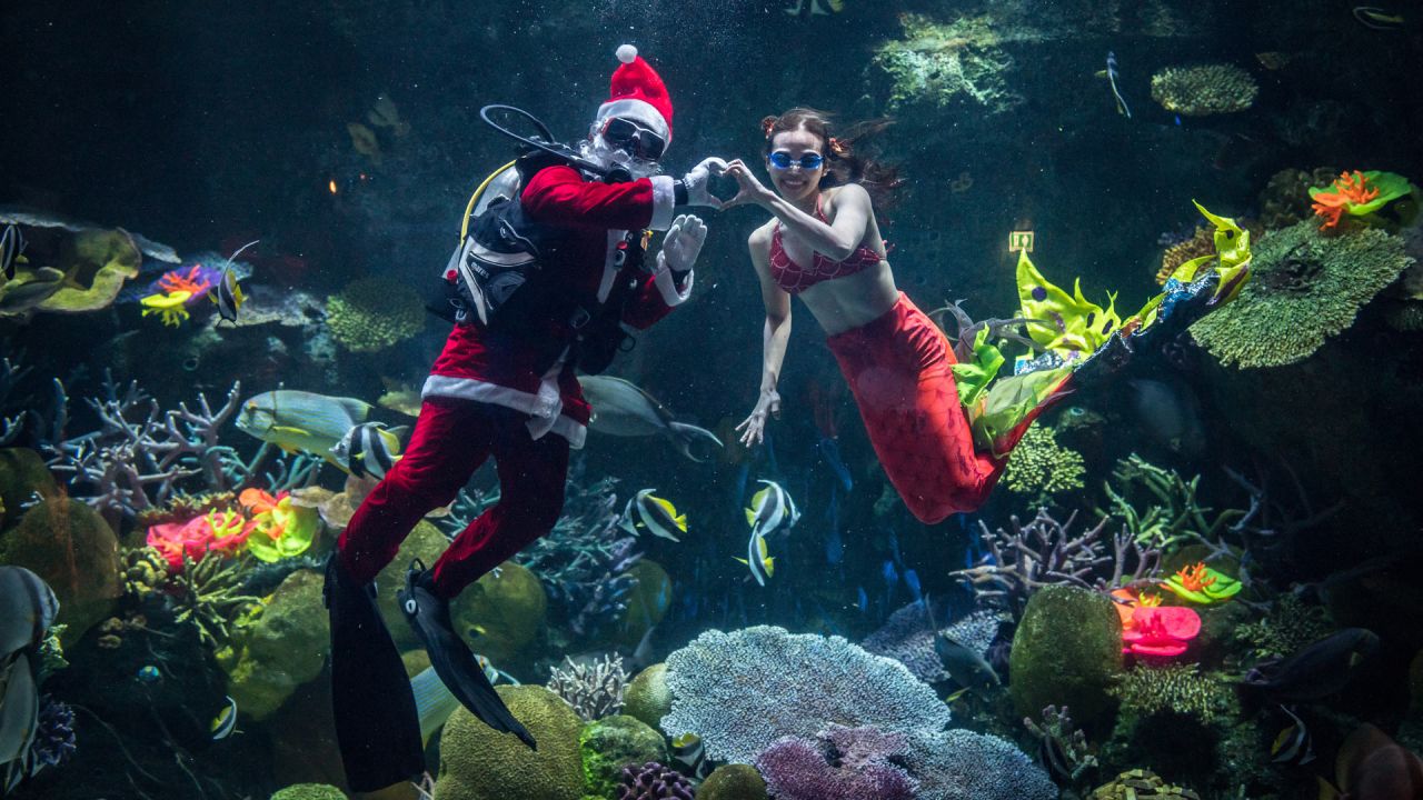 Buzos vestidos con trajes de Papá Noel y sirenas posan para las fotos en el acuario Sea Life Bangkok Ocean World en Bangkok, Tailandia. | Foto:JACK TAYLOR / AFP