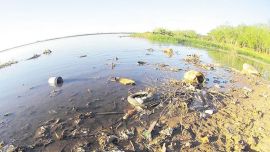 La contaminación en aves y peces en el Paraná es alarmante.