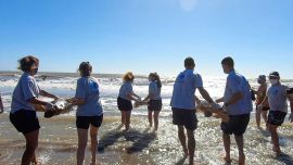 Las tres tortugas marinas cabezonas regresaron a su hábitat natural.