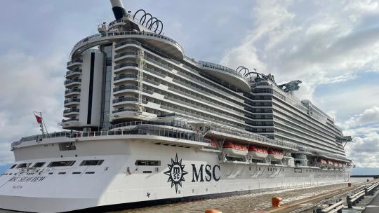 Lujo y más de 5 mil turistas: cómo es el crucero que llegó a Buenos Aires, uno de los más grandes del mundo