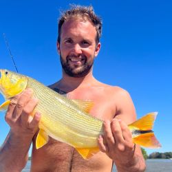 En Yahapé, Corrientes, un surubí de casi 45 kilos fue la sorpresa mayor entre varios dorados y una variada que se apreció mucho.
