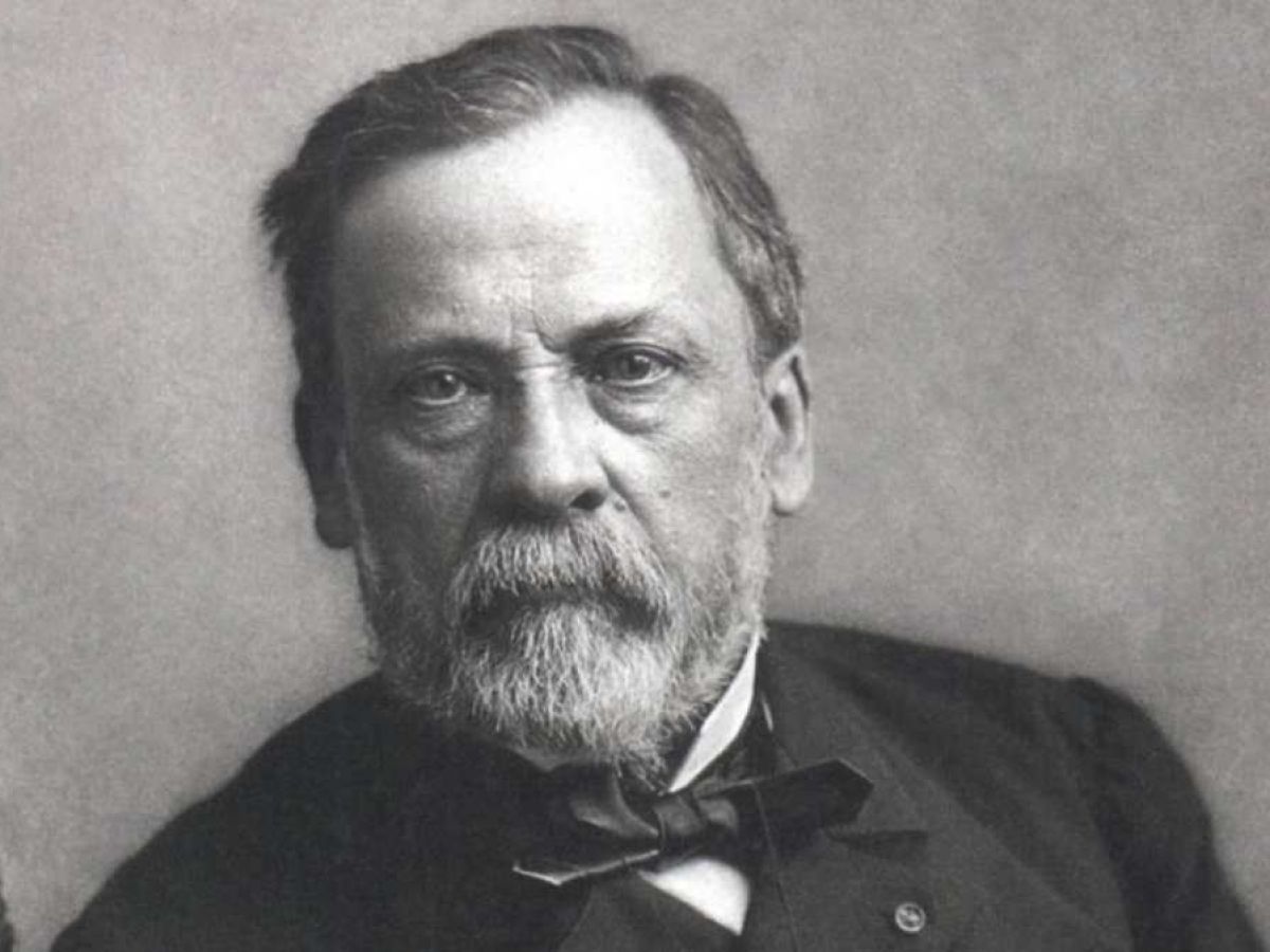 Radio Perfil | Louis Pasteur: 200 años del nacimiento del padre de la  microbiología