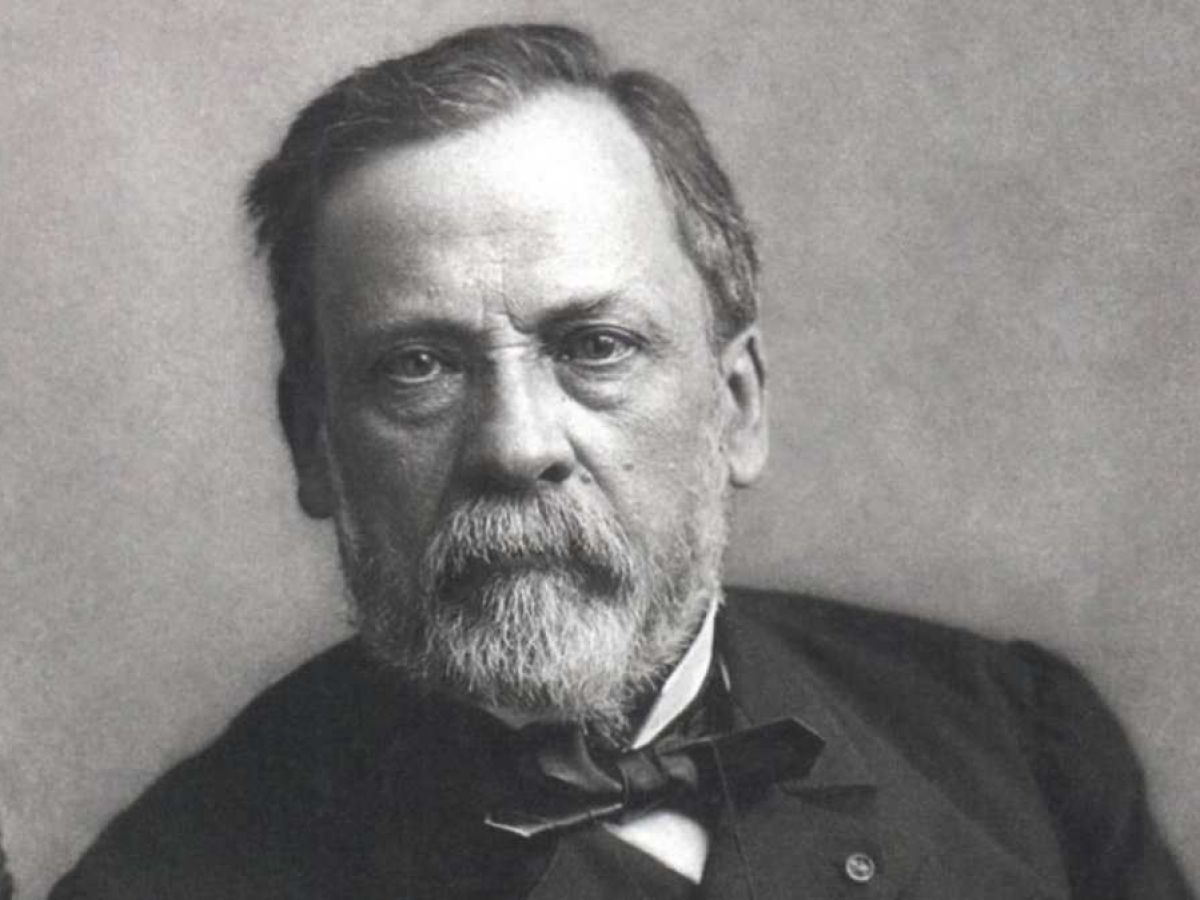 Louis Pasteur El Químico Que Ayudó A Salvar Millones De Vidas Radio Perfil 2340