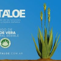 VITALOE