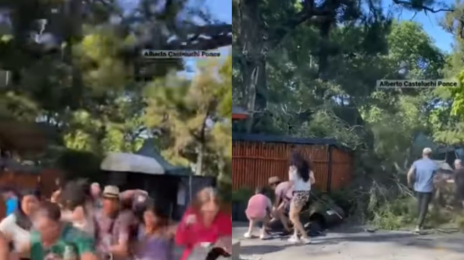 Cayó una rama gigante sobre dos personas en el jardín japonés