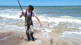 La clave está en emplear equipos livianos para capturar a esta especie que prefiere zonas rocosas.