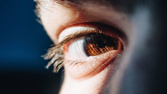Trucos de experta para reducir bolsas y ojeras con cosmética natural