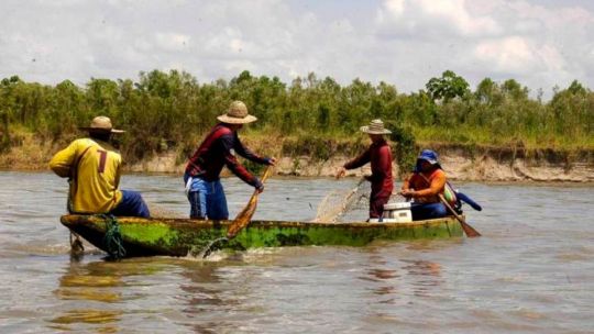 Desarrollan propuestas científicas para mejorar la actividad pesquera en el Paraná