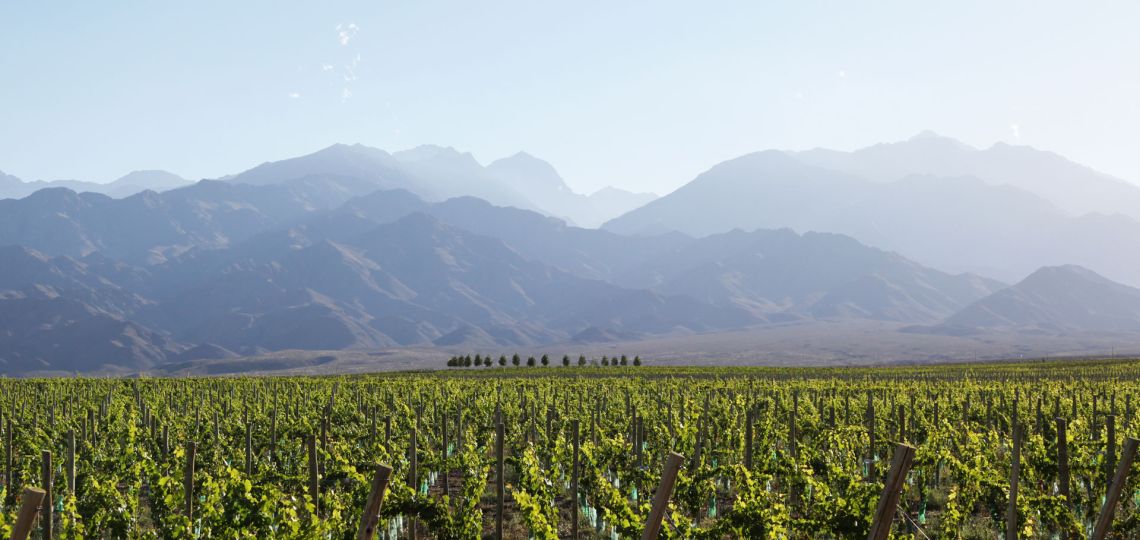 Casa de Uco, mucho más que una bodega