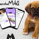 MascotaMás, la App que evoluciona la atención y los servicios para mascotas