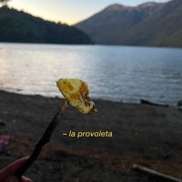 Nicolás Vázquez y Gimena Accardi: "Acampando en el paraíso"