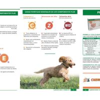 OTITIS EN PERROS Y GATOS